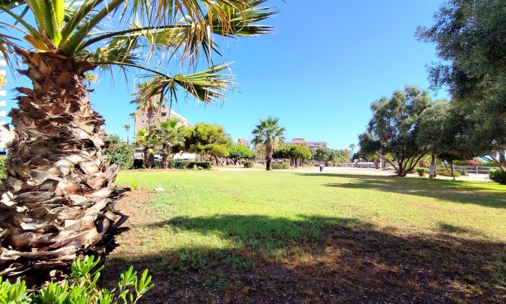 Wederverkoop - Appartement - La Mata