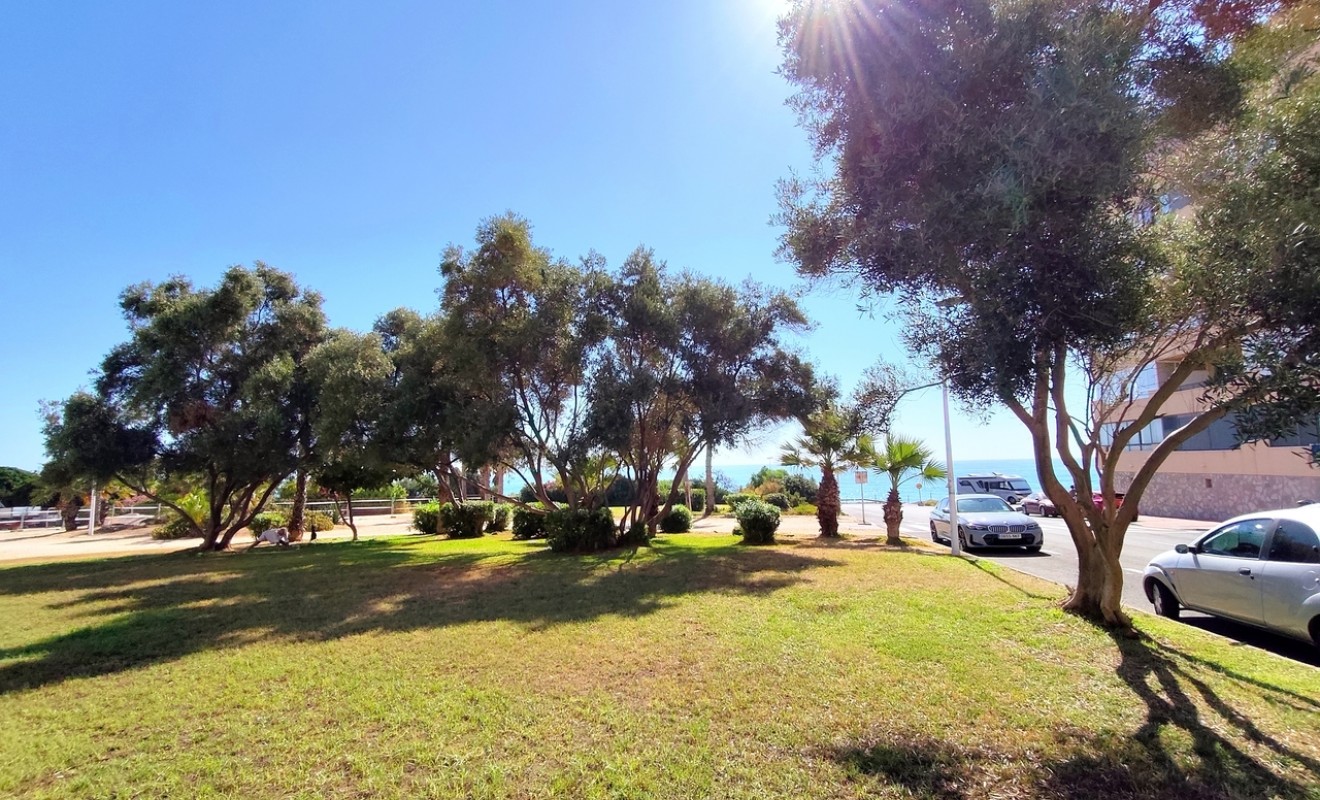Wederverkoop - Appartement - La Mata
