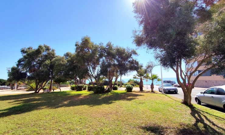 Wederverkoop - Appartement - La Mata