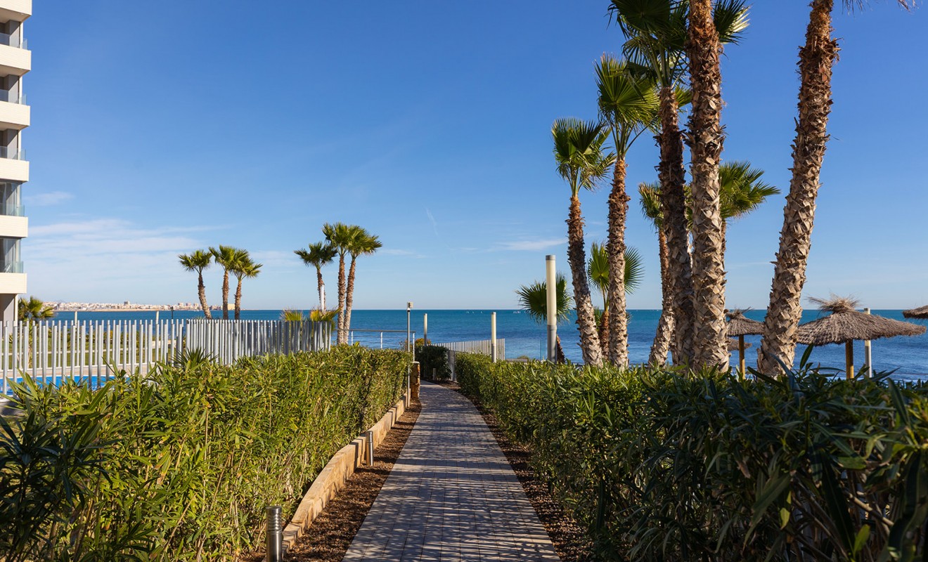 Wederverkoop - Appartement - Torrevieja - Punta prima