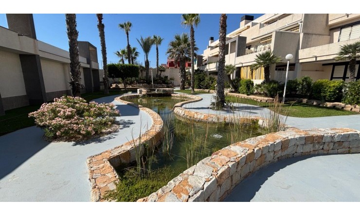 Wederverkoop - Apartments - Torrevieja - La Mata