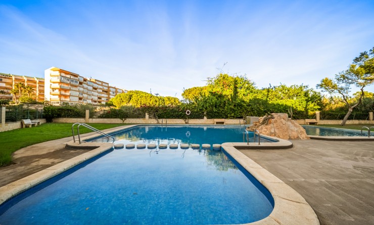 Wederverkoop - Apartments - Torrevieja - La Mata