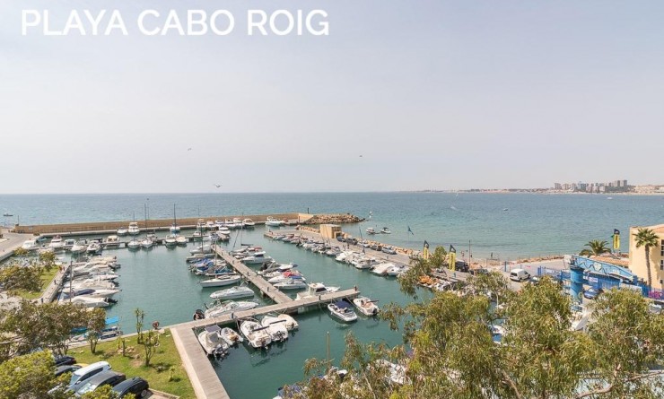 Wederverkoop - Semi - Orihuela Costa - Playa Flamenca