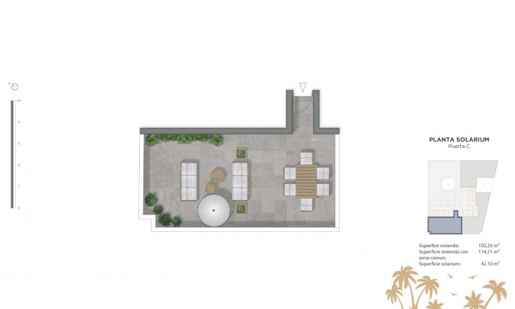 Nieuwbouw woningen - Penthouse - Guardamar del Segura - Pueblo