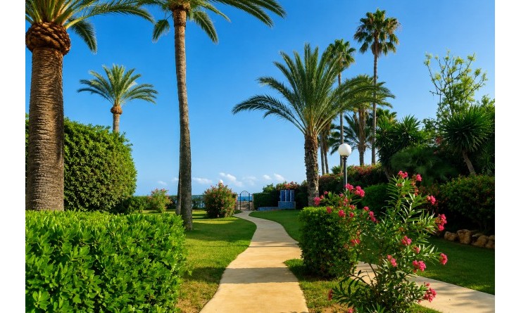 Wederverkoop - Apartment / flat - Denia - Les Marines - Las Marinas
