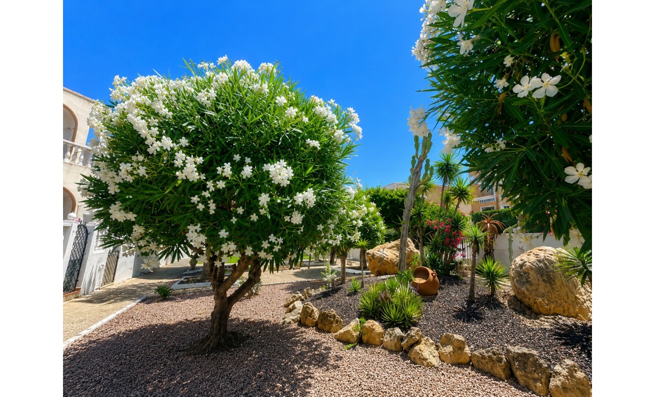 Sale - Bungalow - La Mata