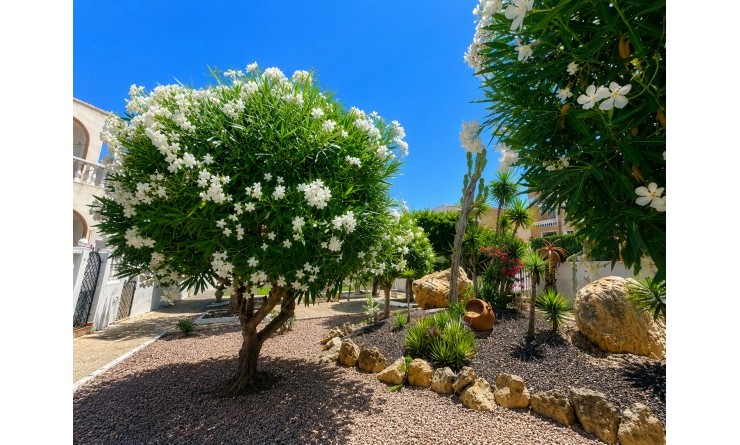 Sale - Bungalow - La Mata