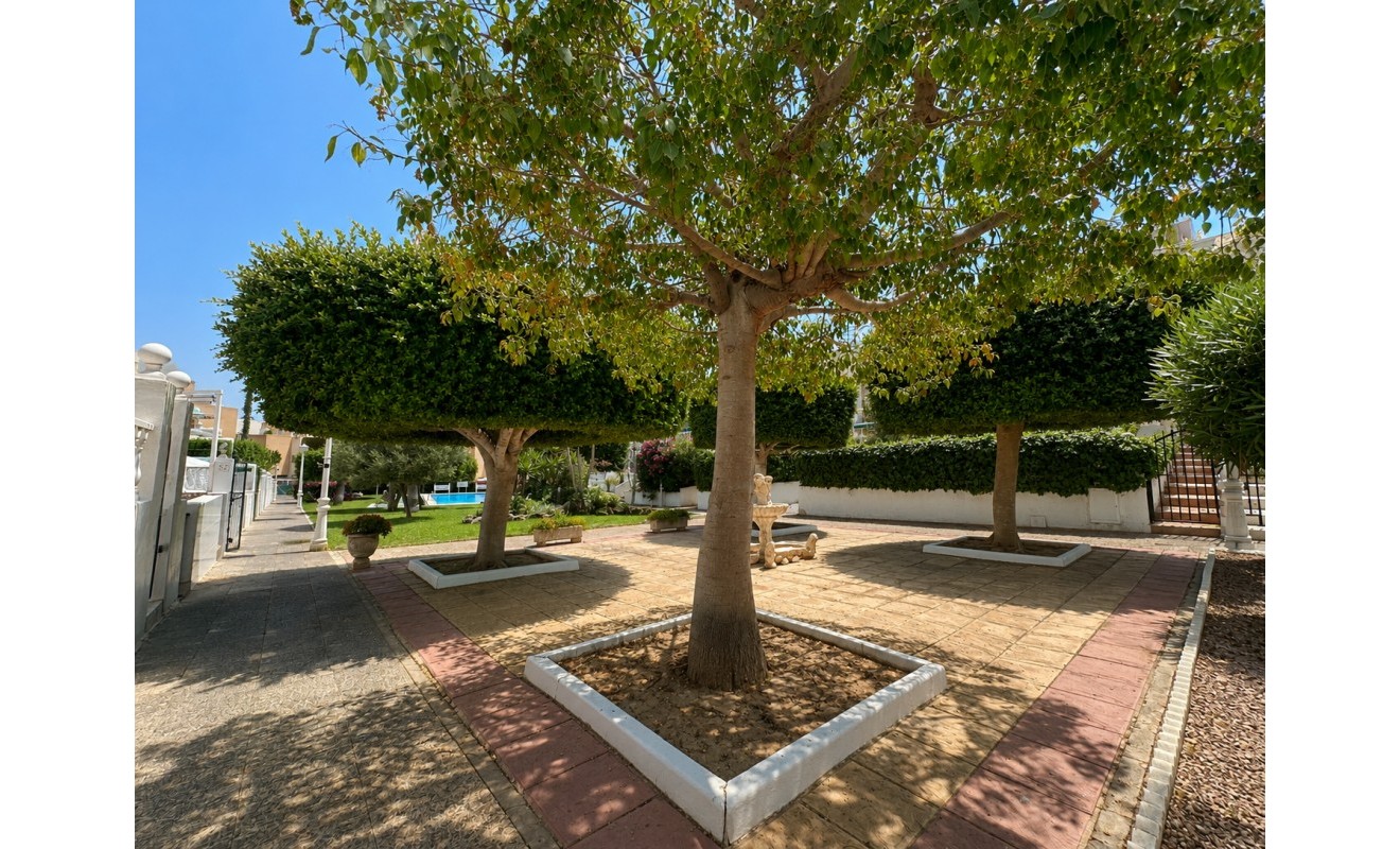 Sale - Bungalow - La Mata