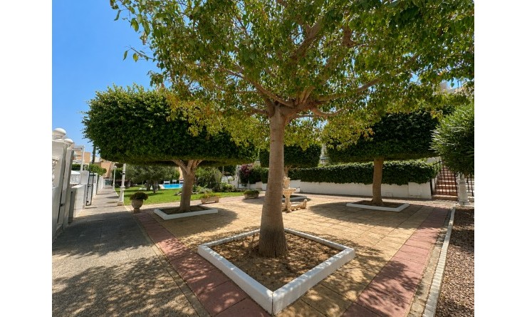 Sale - Bungalow - La Mata