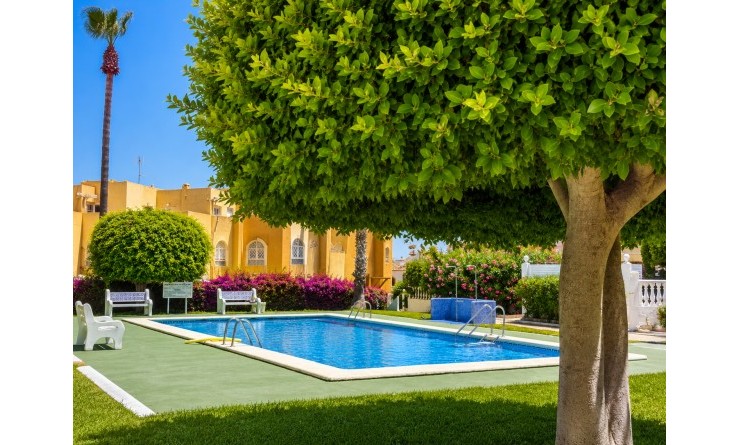 Sale - Bungalow - La Mata