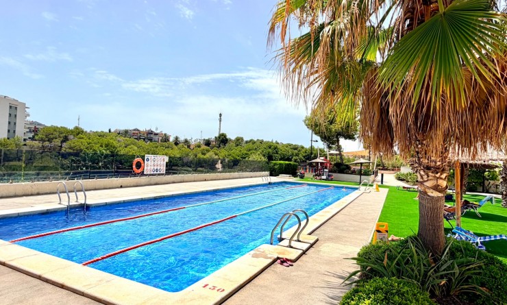 Wederverkoop - Apartment / flat - Orihuela Costa - La Zenia