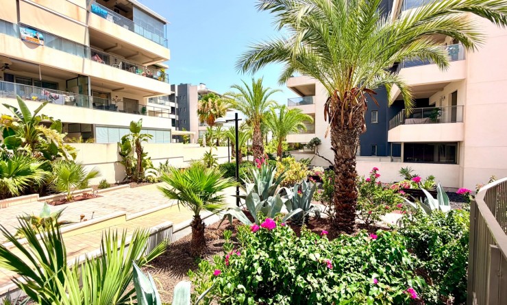 Wederverkoop - Apartment / flat - Orihuela Costa - La Zenia