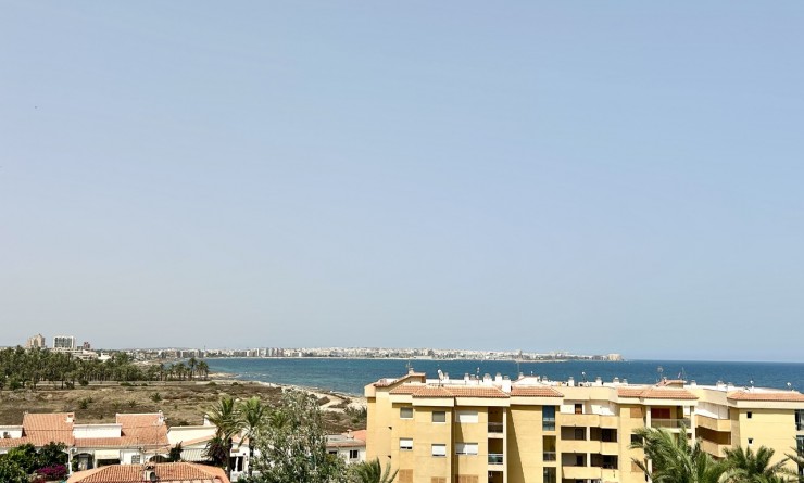 Revente - Appartement - Punta Prima