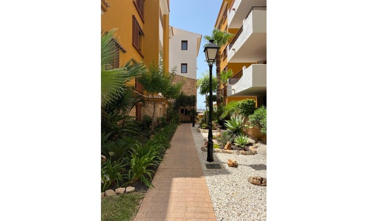 Revente - Appartement - Punta Prima