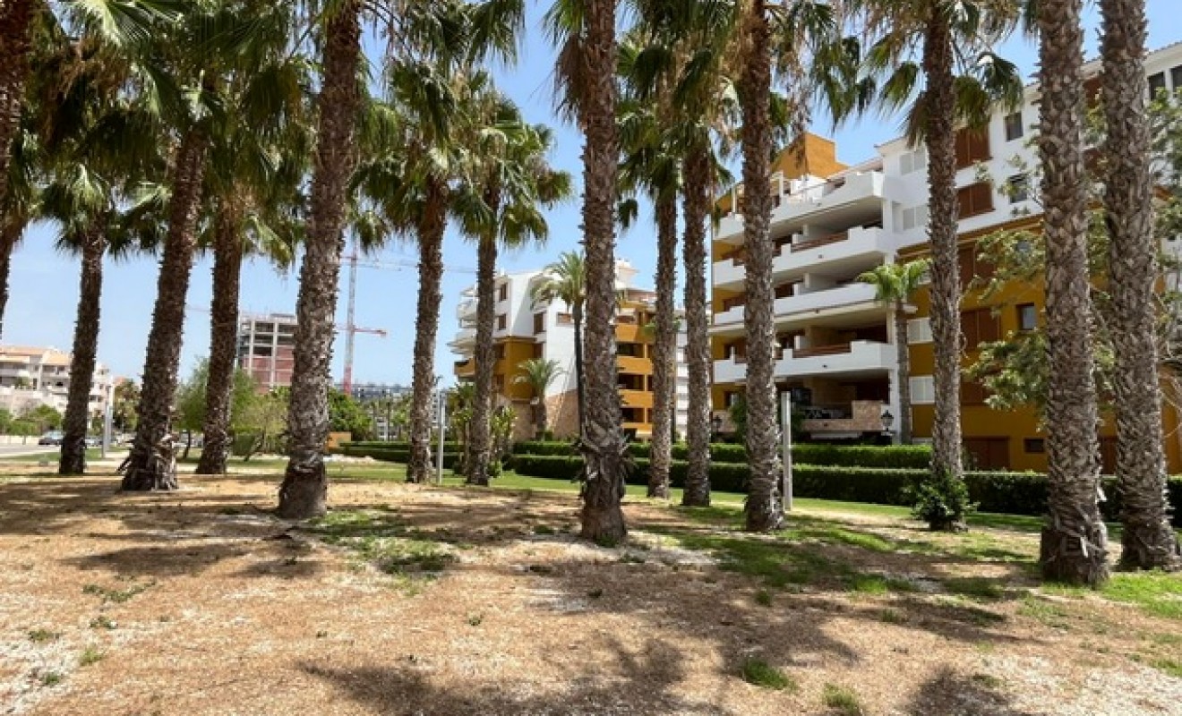 Revente - Appartement - Punta Prima