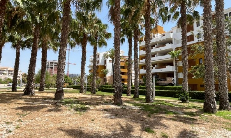 Revente - Appartement - Punta Prima