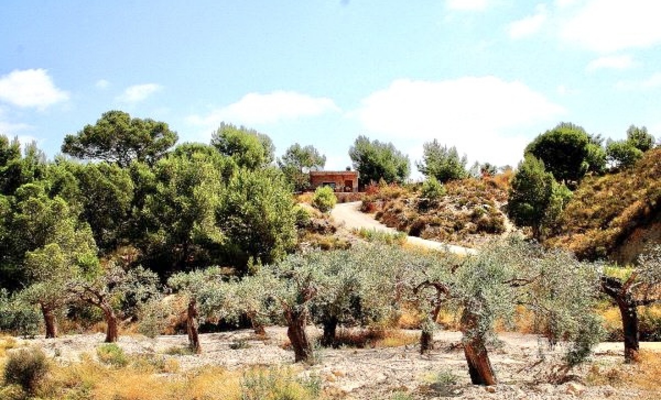 Wederverkoop - Villa - Murcia - Costa Blanca Sur