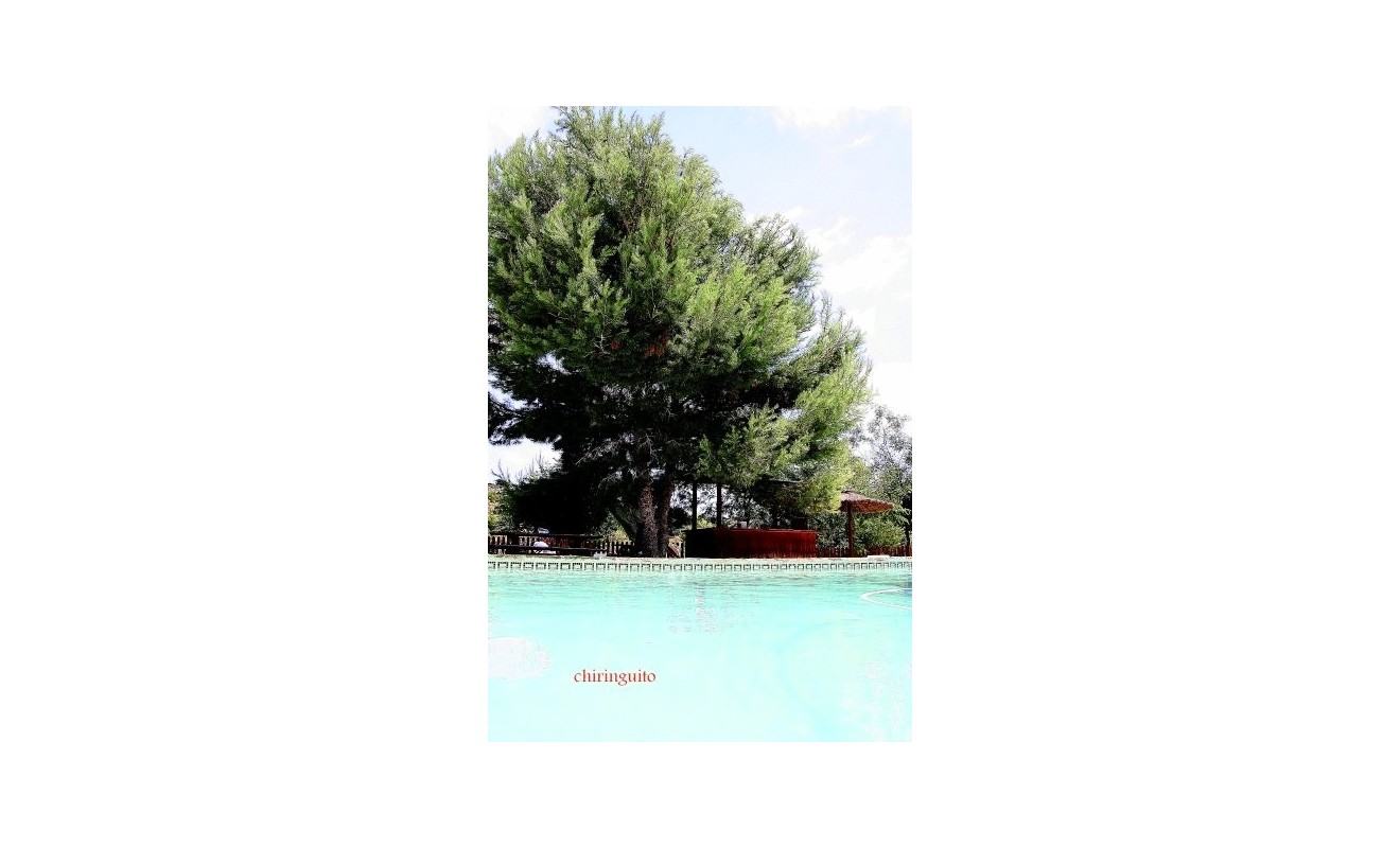 Wederverkoop - Villa - Murcia - Costa Blanca Sur