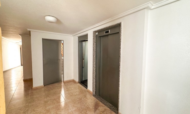 Wederverkoop - Apartment / flat - Torrevieja - torrevieja