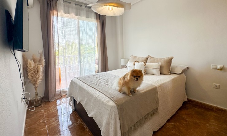 Revente - Apartment / flat - Guardamar del Segura - guardamar del segura
