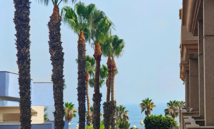 Wederverkoop - Appartement - Orihuela Costa - Aguamarina