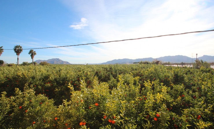 Wederverkoop - Finca / Country House - Murcia - Costa Blanca Sur
