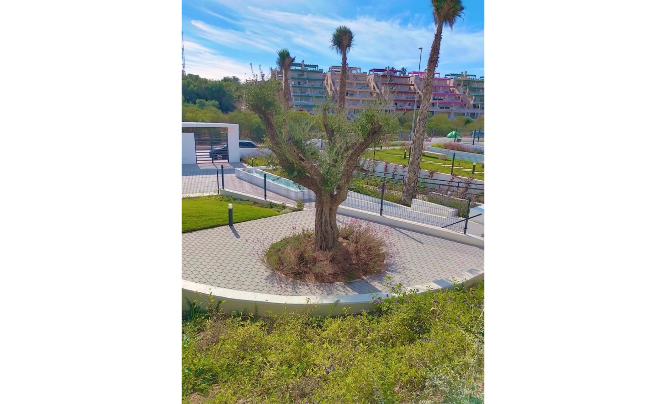 Wederverkoop - Apartment / flat - Orihuela - Costa Blanca Sur