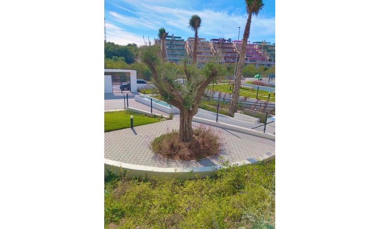 Wederverkoop - Apartment / flat - Orihuela - Costa Blanca Sur
