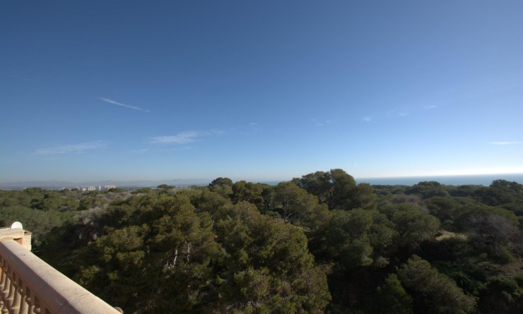 Nieuwbouw woningen - Appartement - Guardamar del Segura - Pueblo