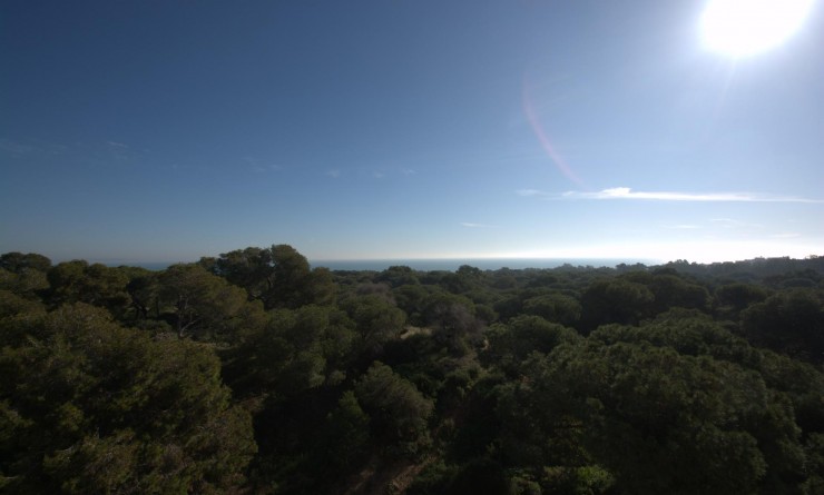 Nieuwbouw woningen - Penthouse - Guardamar del Segura - Pueblo