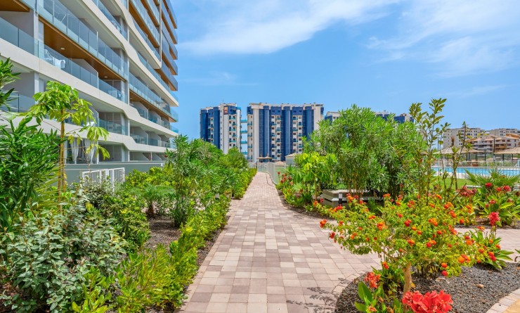 Wederverkoop - Apartments - Orihuela Costa - Punta Prima