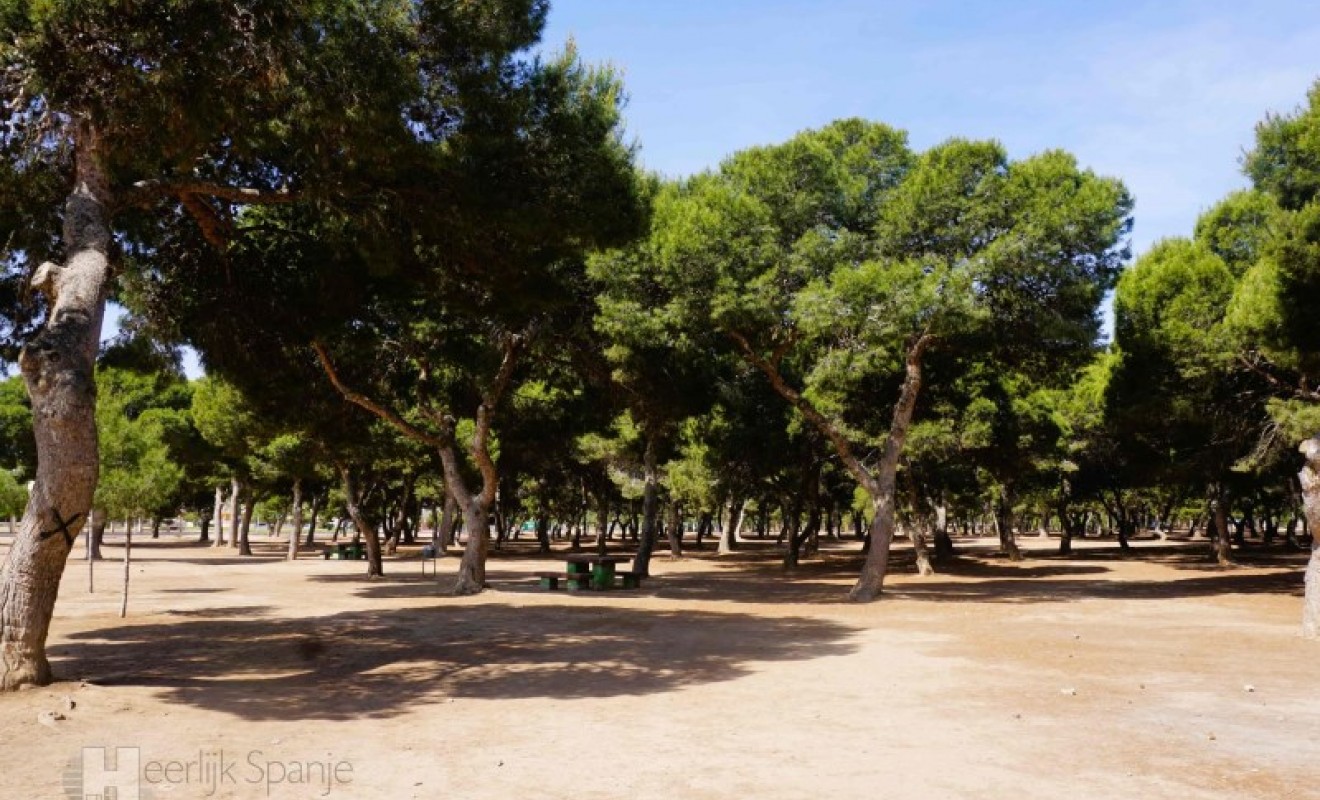 Wederverkoop - Gelijkvloers - San Javier - Santiago de la Ribera