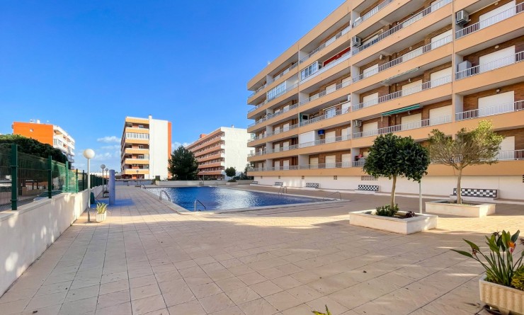 Wederverkoop - Penthouse - Torrevieja - Punta prima
