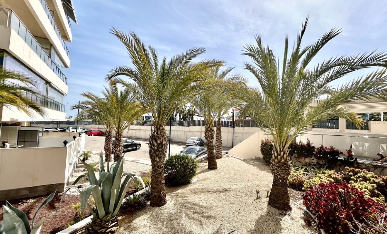 Sale - Penthouse - Los Dolses