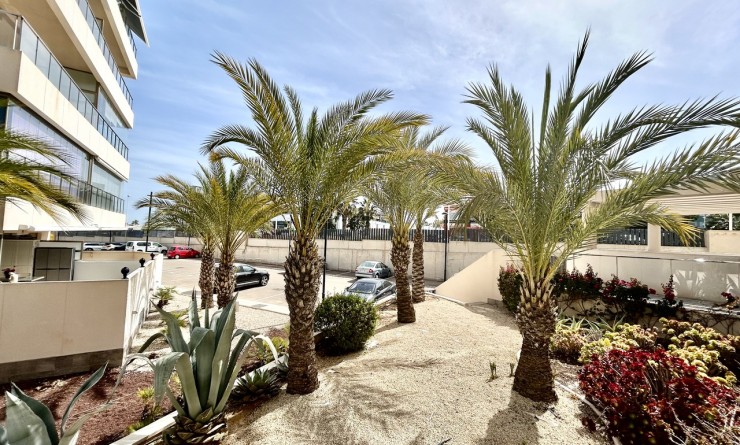 Sale - Penthouse - Los Dolses