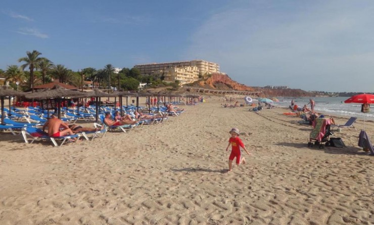 Wederverkoop - Apartamento - Orihuela Costa - Campoamor
