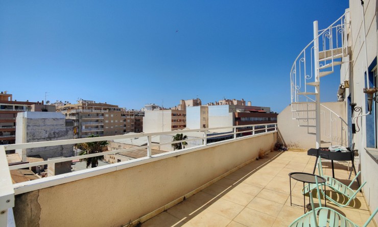 Location longue durée - Penthouse - Torrevieja - Antonio Machado