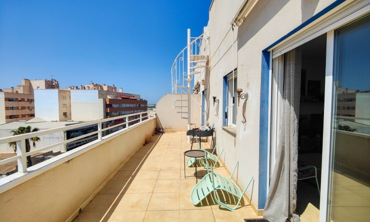 Location longue durée - Penthouse - Torrevieja - Antonio Machado
