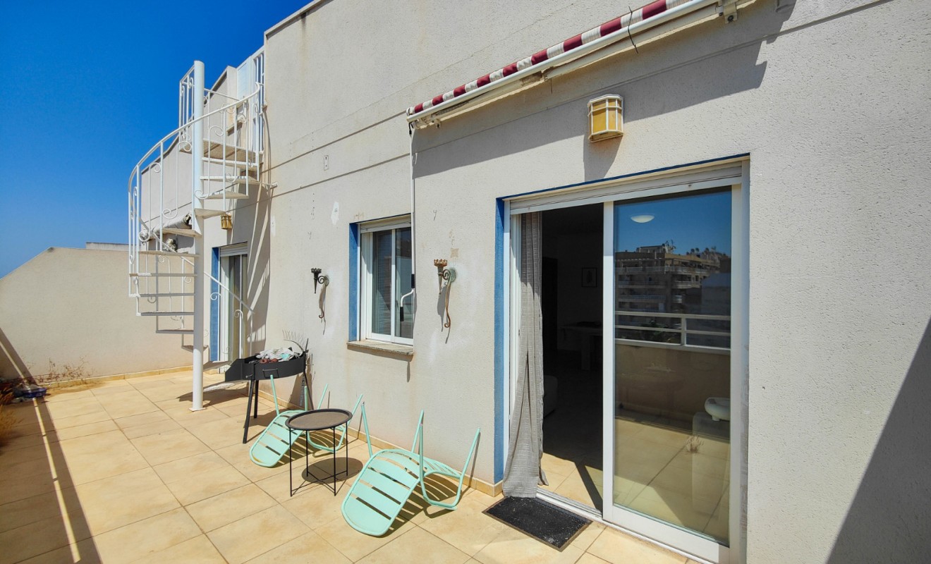 Location longue durée - Penthouse - Torrevieja - Antonio Machado
