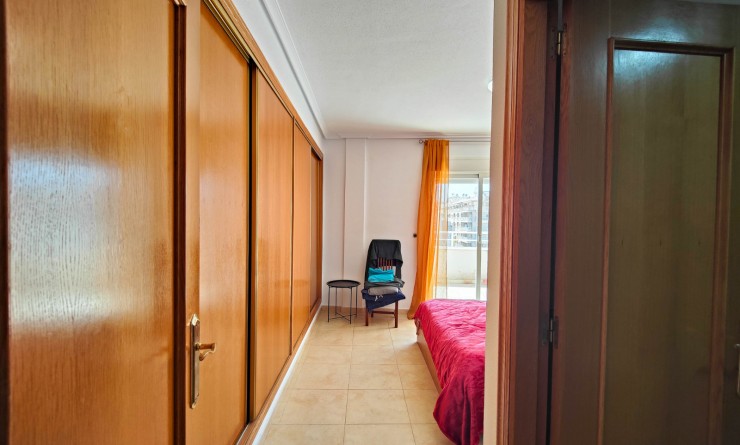 Location longue durée - Penthouse - Torrevieja - Antonio Machado