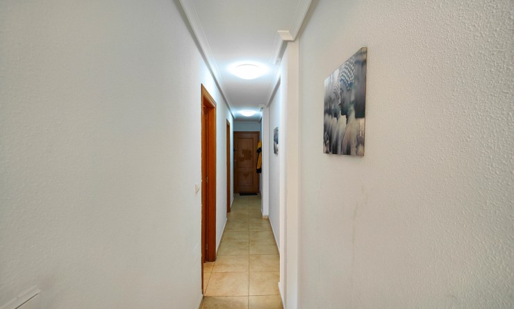Location longue durée - Penthouse - Torrevieja - Antonio Machado