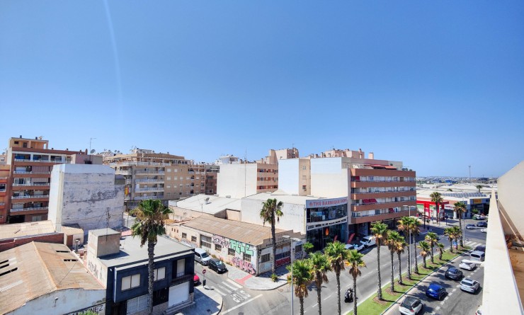 Location longue durée - Penthouse - Torrevieja - Antonio Machado