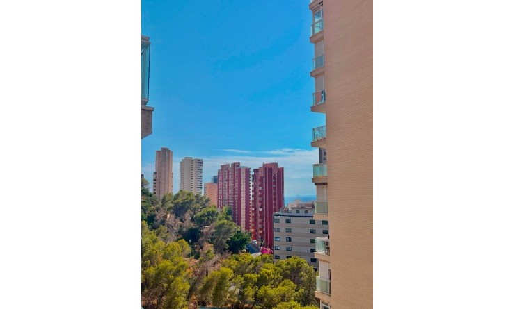 Sale - Apartment / flat - Benidorm - Rincón de Loix