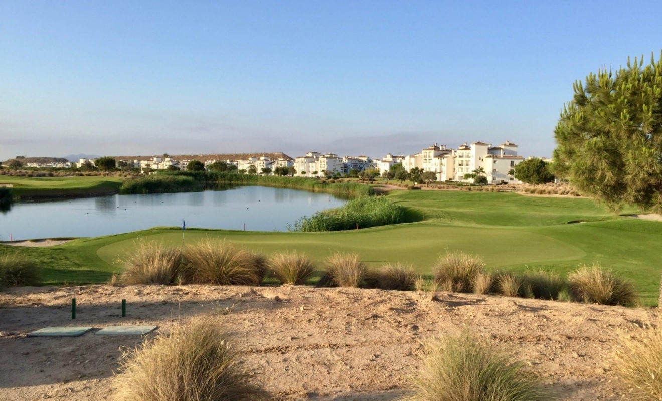 Revente - Apartment - Penthouse - Sucina - Hacienda Riquelme Golf