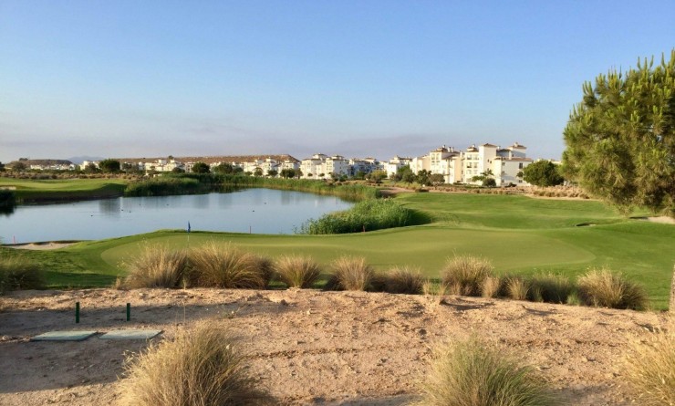 Revente - Apartment - Penthouse - Sucina - Hacienda Riquelme Golf