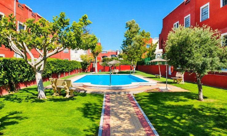 Wederverkoop - Apartment - Penthouse - Orihuela - Los Balcones