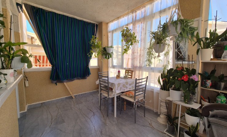 Sale - Bungalow - Torrevieja - torrevieja