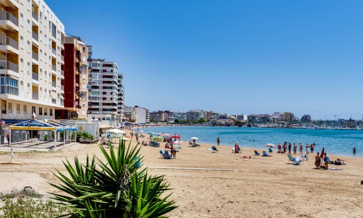Sale - Apartamento - Torrevieja - Playa del Acequión