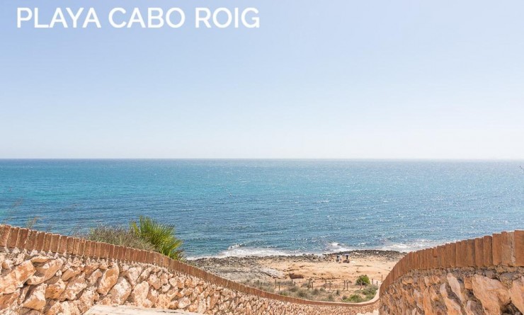 Wederverkoop - Villa - San Miguel de Salinas - Las filipinas