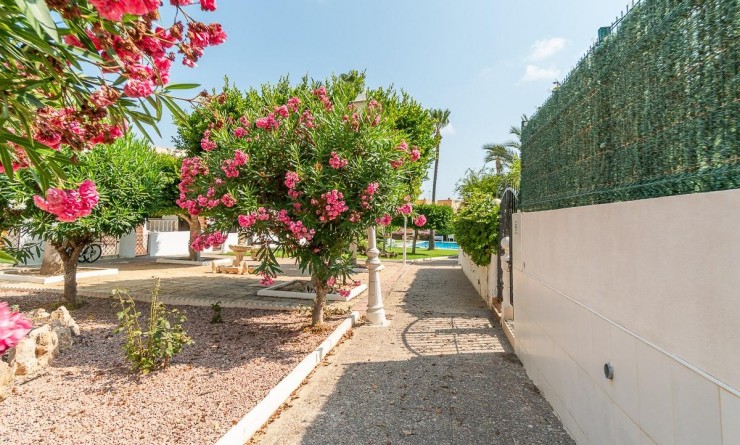 Wederverkoop - Appartement - Torrevieja - Torreblanca